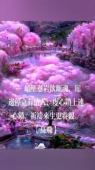 哈哈体育app官网版下载